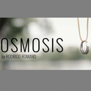 Osmosis by Rodrigo Romano