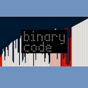 Binary Code by Rick Lax