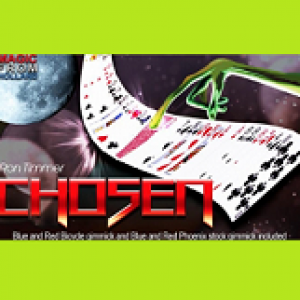 Chosen by Ron Timmer