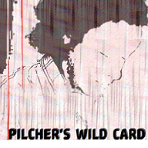 Pilcher's Wild Card by Matt Pilcher