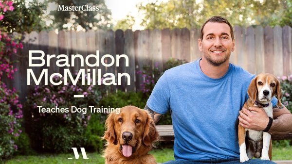 MasterClass - Brandon McMillan - Teaches Dog Training