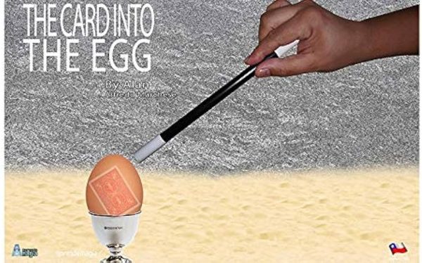 THE CARD INTO THE EGG by Alan Alfredo Marchese and Aprendemagia
