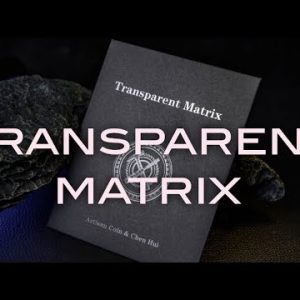 Transparent Matrix by Artisan Coin & Chen Hui