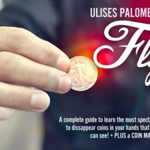 Ulises Palomeque - Fly Vanish
