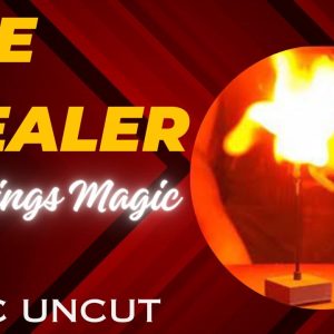 Fire Stealer by Wing's Magic