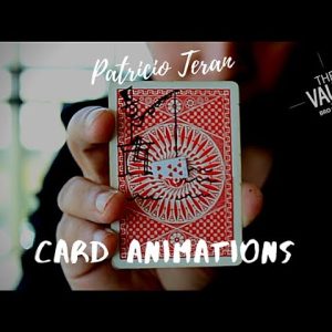 Patricio Teran – Card Animations