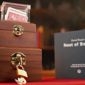 Mystery Solved Nest of Boxes by David Penn (New 2024)