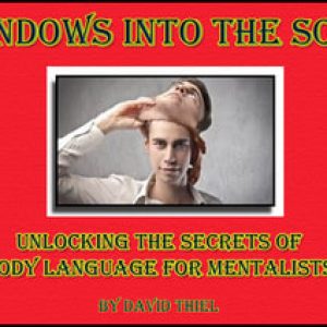 David Thiel - Windows Into the Soul