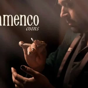 Flamenco Coins by Brendan Rodrigues (New 2024)