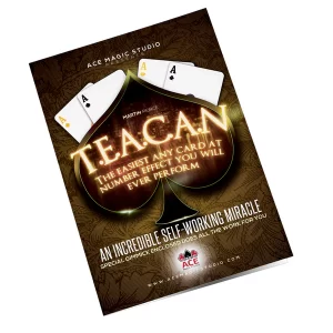 Martin Peirce - Teacan ( T.E.A.C.A.N ) (New 2024, Template Included)