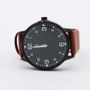 SB Watch 2 (New 2024)