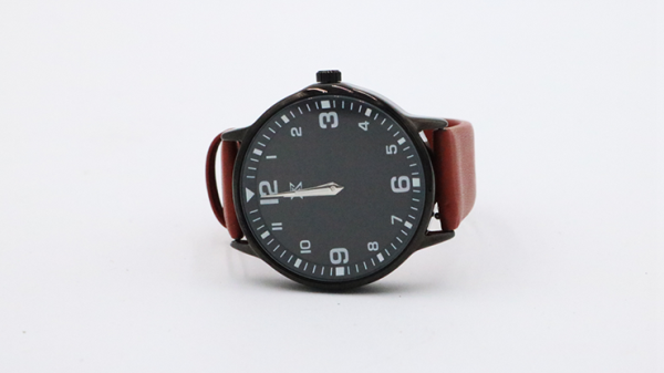 SB Watch 2 (New 2024)