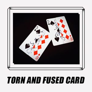 2024 Torn and Fused Card by China Magic
