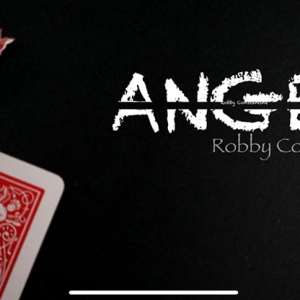 Flying Angel by Robby Constantine