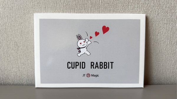 Cupid Rabbit by JT (New 2024)