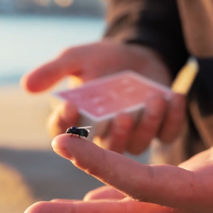 The FLY LITE by Marcos Waldemar & Invisible Compass (New 2024)