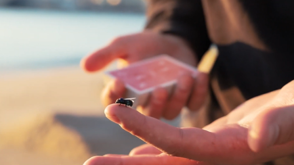 The FLY LITE by Marcos Waldemar & Invisible Compass (New 2024)