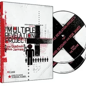 Andi Gladwin and Rob James - The Multiple Revelation Project (Vol.1-2)