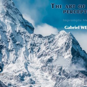 Gabriel Werlen - The Art of Shaping Perceptions (Impromptu Mentalism)