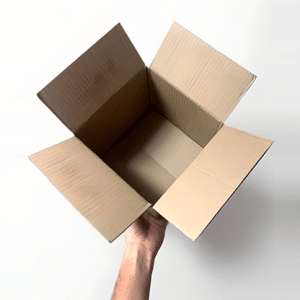 Examinable Box by Blake Vogt (New 2024)