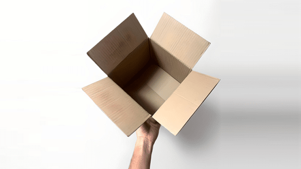 Examinable Box by Blake Vogt (New 2024)
