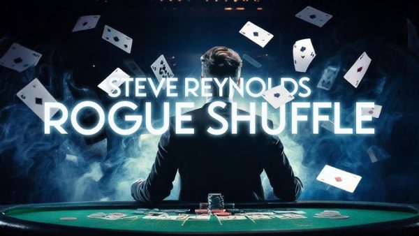 Steve Reynolds - Rogue Shuffle