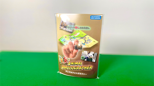Animal photographer by Proma / SEO MAGIC (New 2025)
