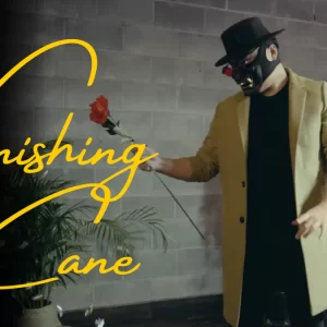 Bojan Barisic - The Vanishing Cane (New 2025)