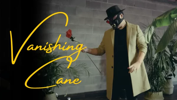 Bojan Barisic - The Vanishing Cane (New 2025)