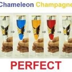 Naotaka Mizoguchi - Chameleon Champagne