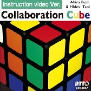 Akira Fujii and Hideki Tani - Collaboration Cube