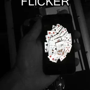 FLiCKER by Derrek Lau