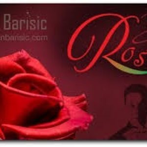 Bojan Barisic - BB Rose