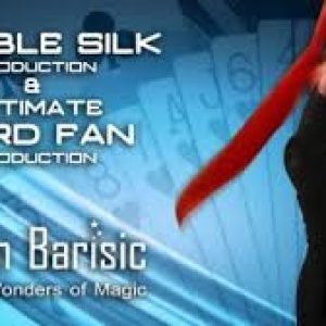 Bojan Barisic - Double Silk Production & Ultimate Fan Production