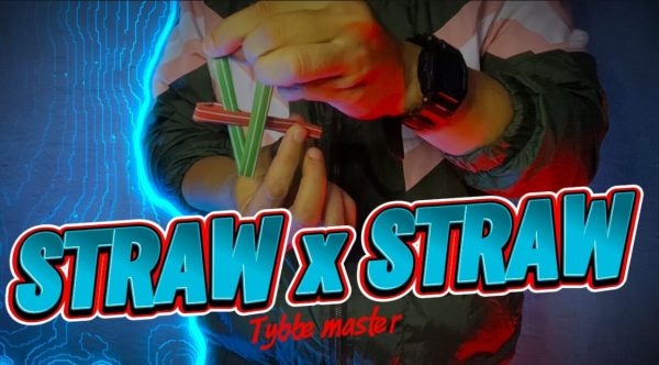 Tybbe Master - Straw x Straw