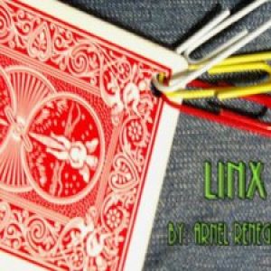 Arnel Renegado - LinX