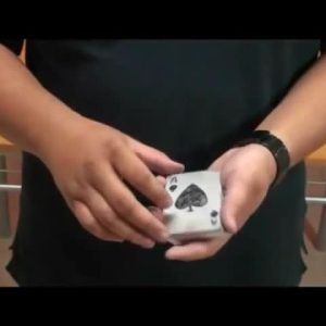 Sleight Trainer (Steel Deck) by Hondo