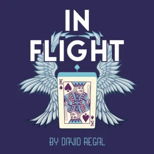 David Regal - In Flight (New 2025)