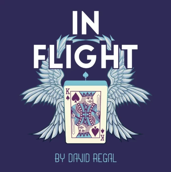 David Regal - In Flight (New 2025)