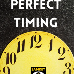 Jay Sankey - Perfect Timing (New 2025)
