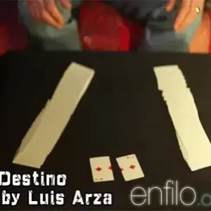 Luis Arza - El Destino
