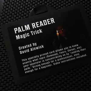 The Palm Reader Card by David Alnwick (New 2025)