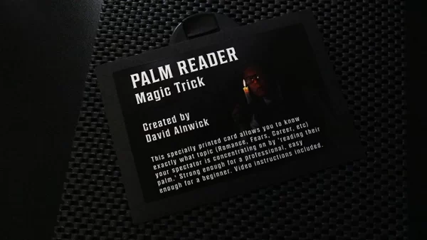 The Palm Reader Card by David Alnwick (New 2025)