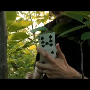 OHHR by Bizau Vasile Cristian - [ HD 720p Original ]