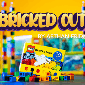 Bricked Out by Aethan Friday