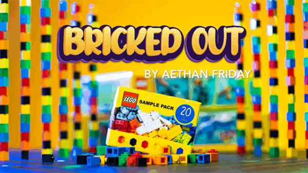 Bricked Out by Aethan Friday