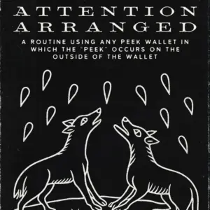 Lewis Le Val - Attention Arranged (New 2025)